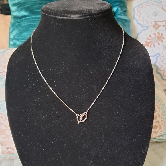 Sterling Silver Tampa Bay Ligtning Small (1/2 Inch) Pendant w/ 19" Necklace - Picture 3 of 9